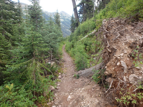 GDMBR: More trail obstacles.